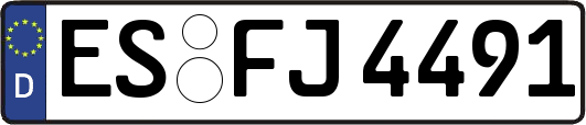 ES-FJ4491