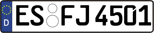 ES-FJ4501