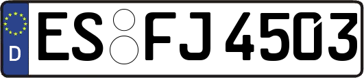 ES-FJ4503