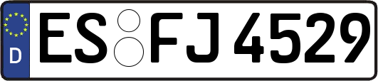 ES-FJ4529