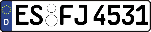 ES-FJ4531