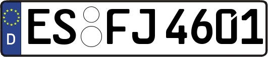 ES-FJ4601