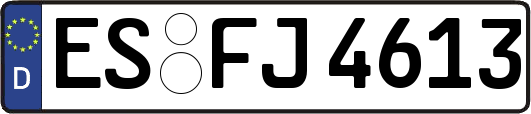 ES-FJ4613