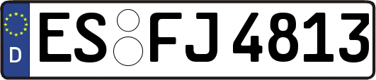 ES-FJ4813