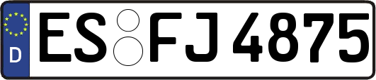 ES-FJ4875