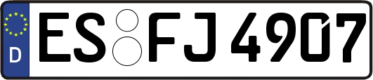 ES-FJ4907