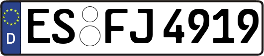 ES-FJ4919