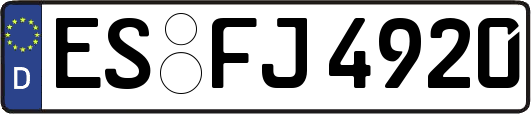 ES-FJ4920