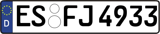 ES-FJ4933
