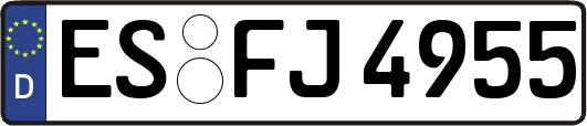 ES-FJ4955