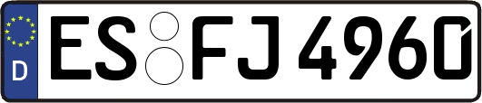 ES-FJ4960