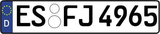 ES-FJ4965