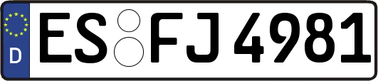 ES-FJ4981