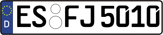 ES-FJ5010