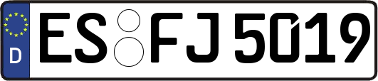 ES-FJ5019