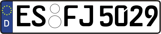 ES-FJ5029