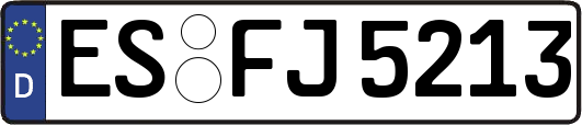 ES-FJ5213