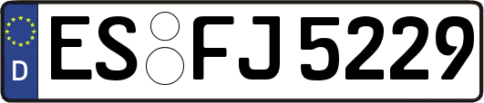 ES-FJ5229