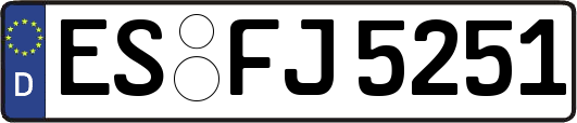 ES-FJ5251