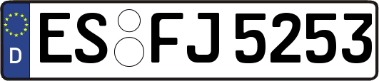 ES-FJ5253