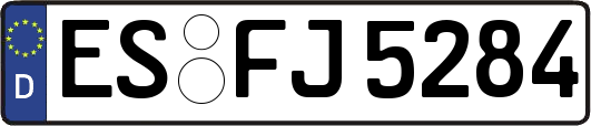 ES-FJ5284
