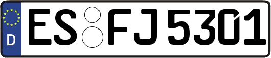ES-FJ5301