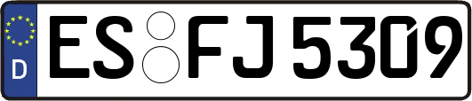 ES-FJ5309