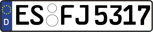 ES-FJ5317