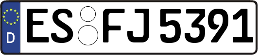 ES-FJ5391