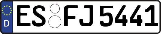 ES-FJ5441