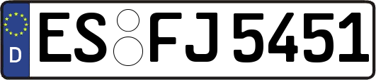ES-FJ5451