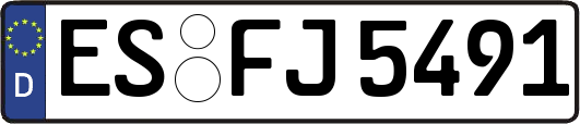 ES-FJ5491