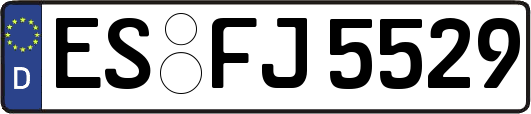 ES-FJ5529