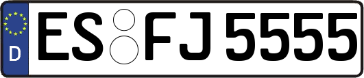 ES-FJ5555