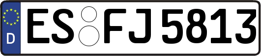 ES-FJ5813