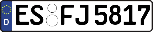 ES-FJ5817