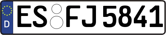 ES-FJ5841
