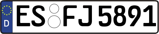 ES-FJ5891