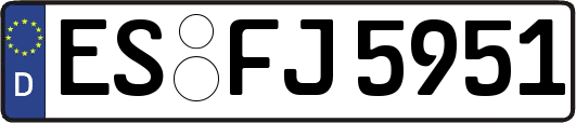 ES-FJ5951