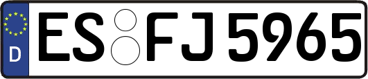 ES-FJ5965