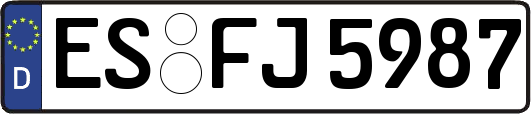ES-FJ5987