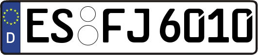 ES-FJ6010