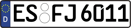 ES-FJ6011