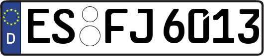 ES-FJ6013