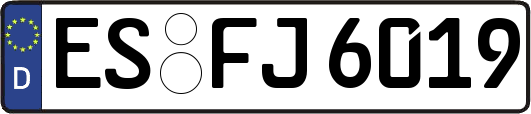 ES-FJ6019