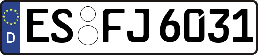 ES-FJ6031