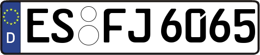 ES-FJ6065