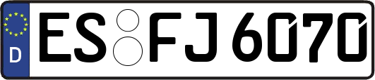 ES-FJ6070