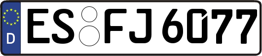 ES-FJ6077