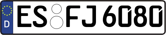 ES-FJ6080